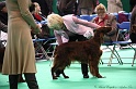 Crufts2011 625